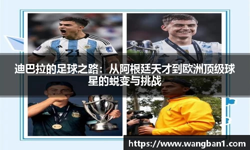 中国·BB贝博艾弗森